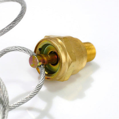 Air Tank Drain Valve Plug 1/4" NPT w/ 60" Cable – Manual Compressor Drain (Replaces 12105 / N3613AD) - RoadWest Truck Parts - B0BXWC93JY - High Soar