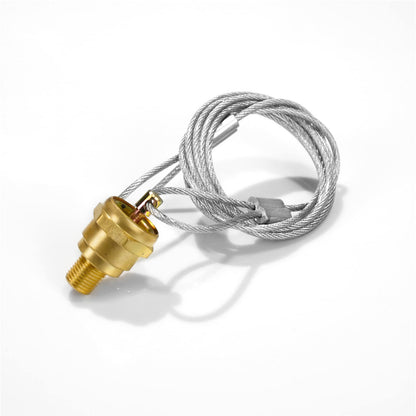 Air Tank Drain Valve Plug 1/4" NPT w/ 60" Cable – Manual Compressor Drain (Replaces 12105 / N3613AD) - RoadWest Truck Parts - B0BXWC93JY - High Soar